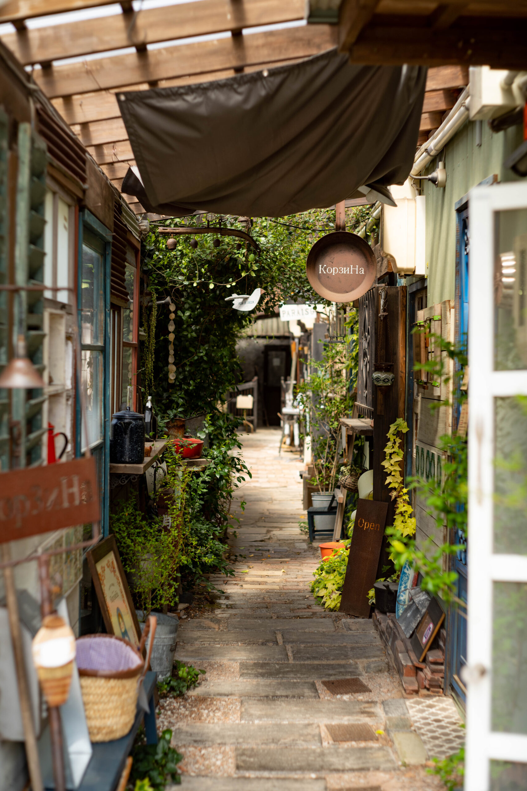 竜泉寺 メルヘンな森の中の喫茶店『もりねこコーヒー』さんに行ってき