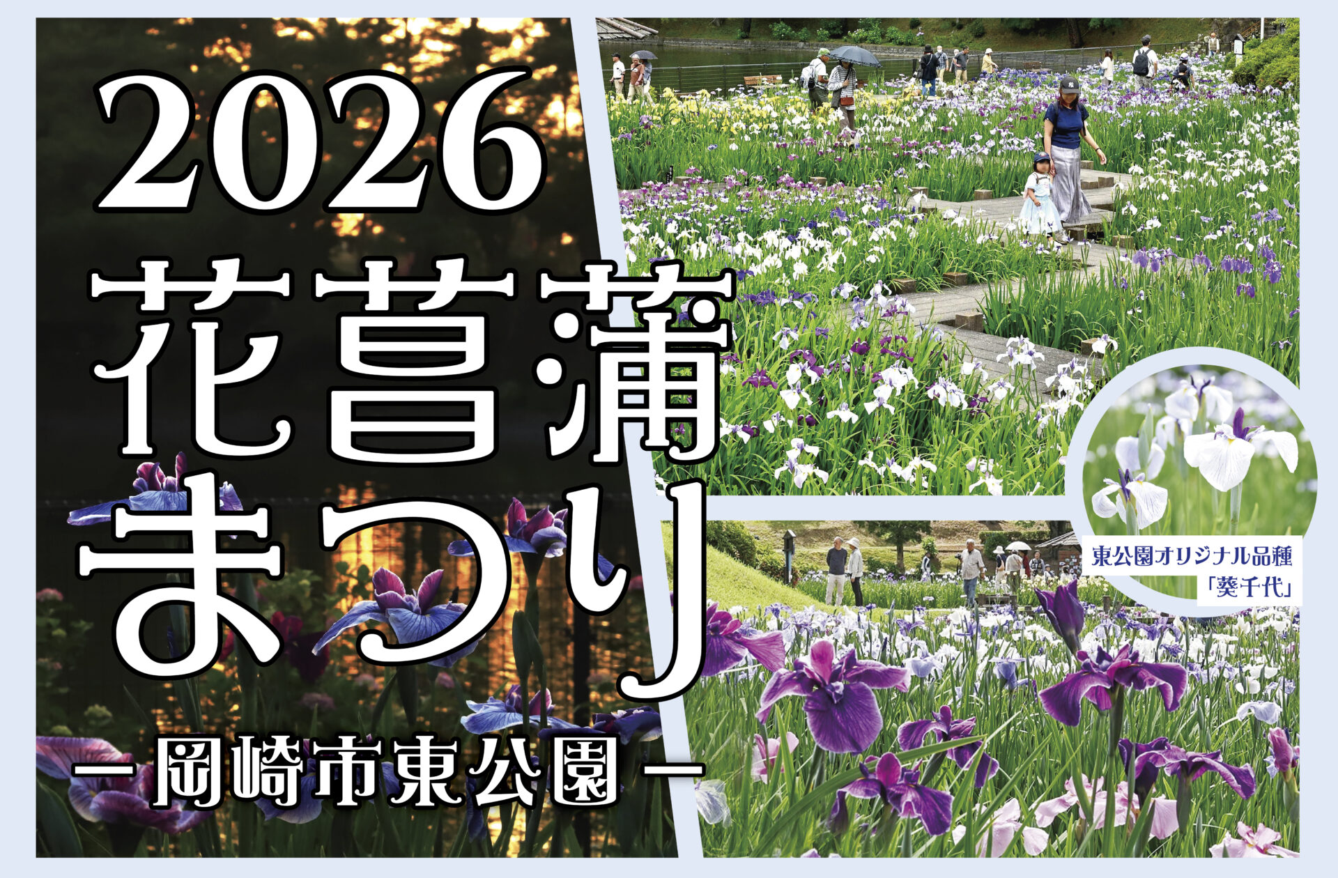 県内有数の花菖蒲の名所】岡崎市東公園で『2026花菖蒲まつり』が5月22